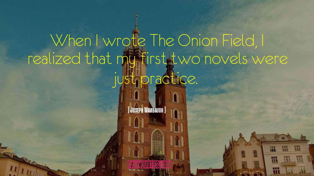 Grated Onion quotes by Joseph Wambaugh