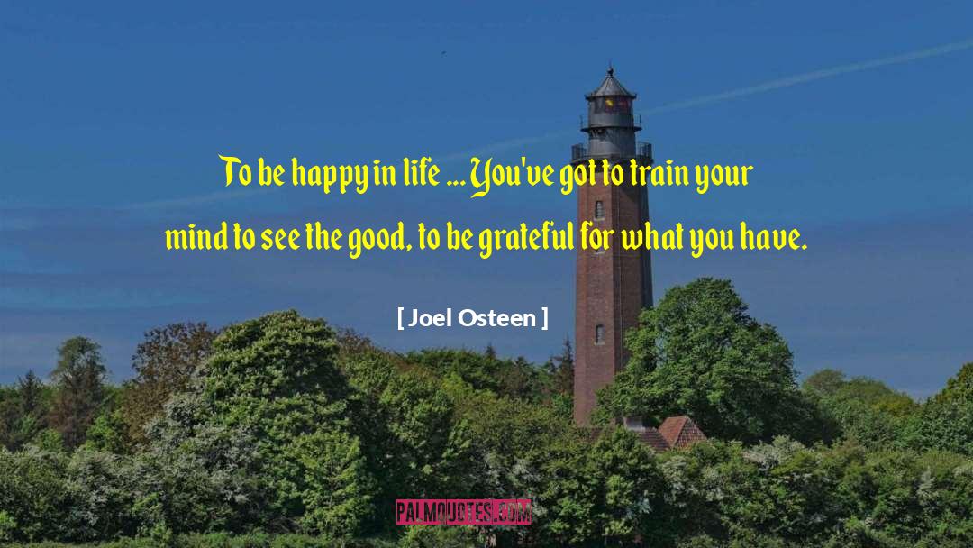 Grateful For What You Have quotes by Joel Osteen