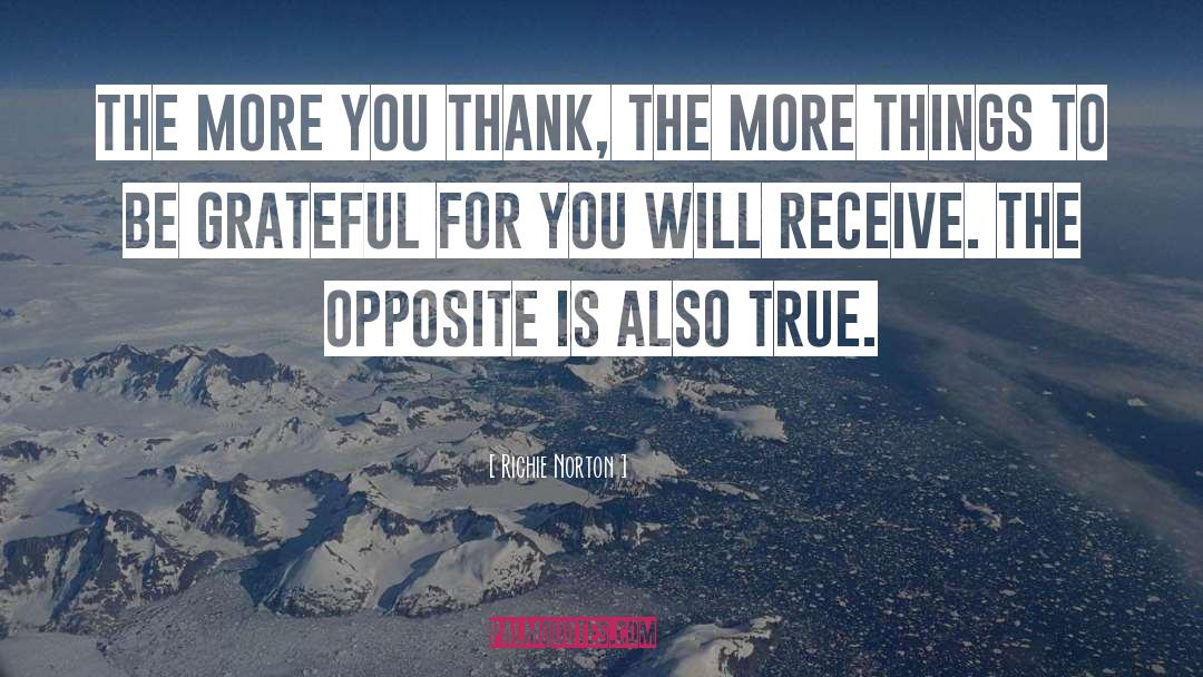 Grateful For You quotes by Richie Norton