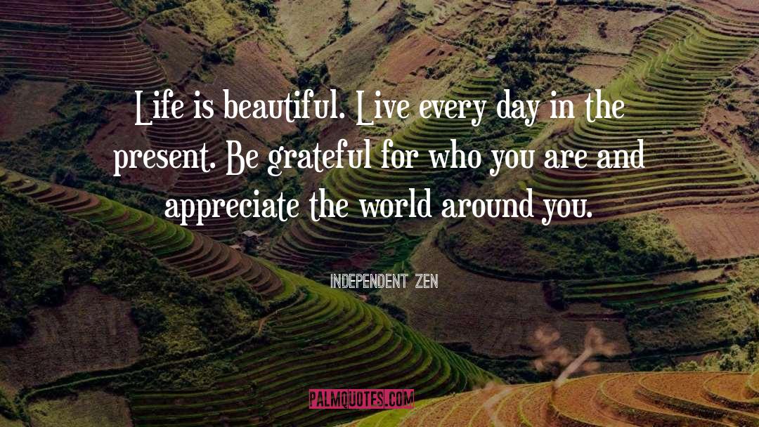 Gratefulness quotes by Independent Zen