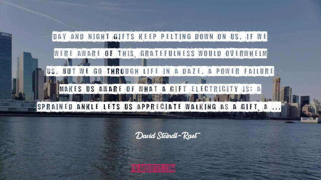 Gratefulness quotes by David Steindl-Rast