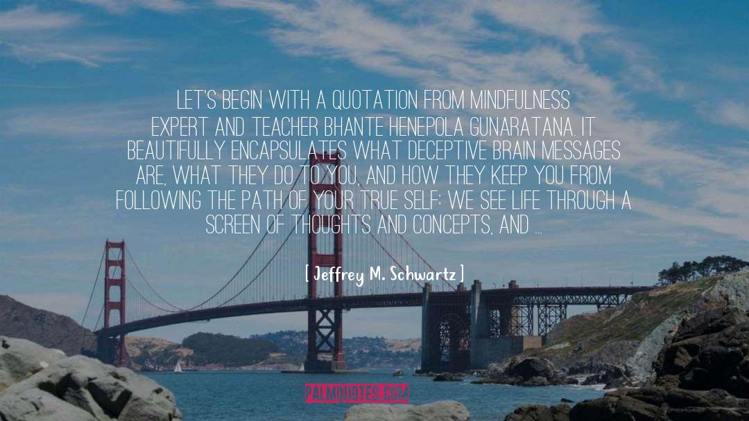 Gratification quotes by Jeffrey M. Schwartz