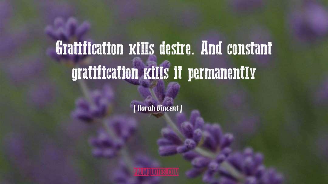 Gratification quotes by Norah Vincent