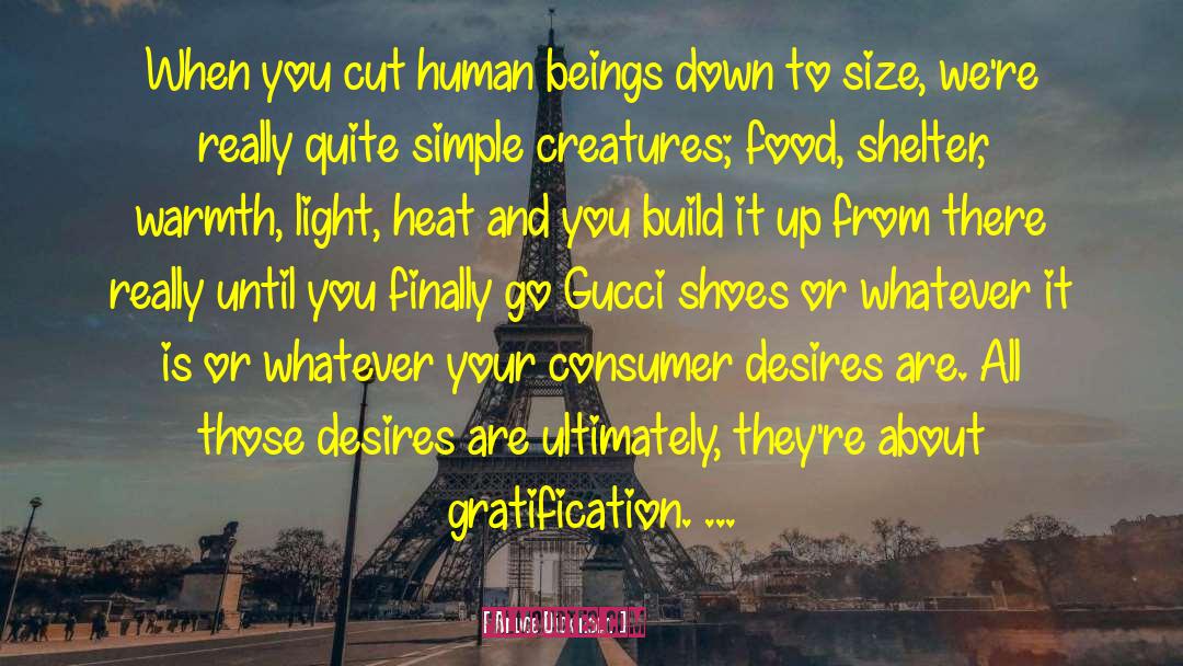 Gratification quotes by Bruce Dickinson