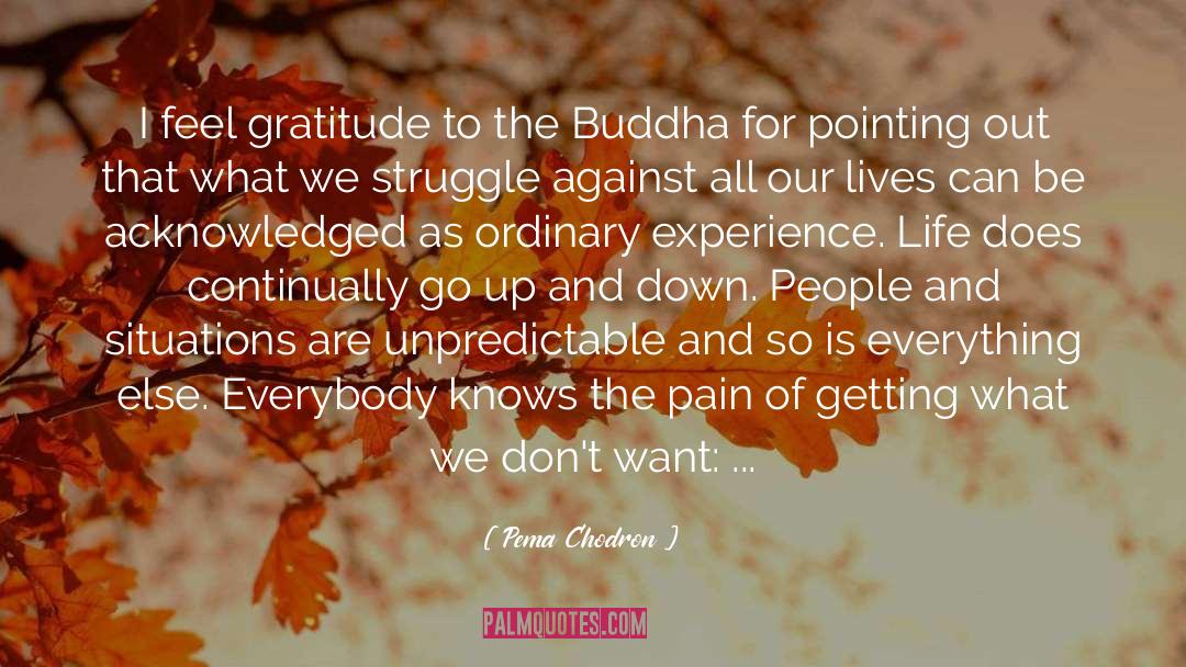 Gratitude And Appreciation quotes by Pema Chodron