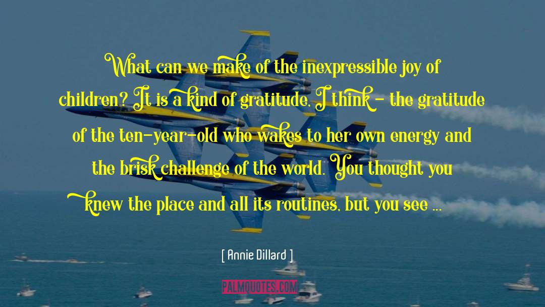 Gratitude And Joy quotes by Annie Dillard