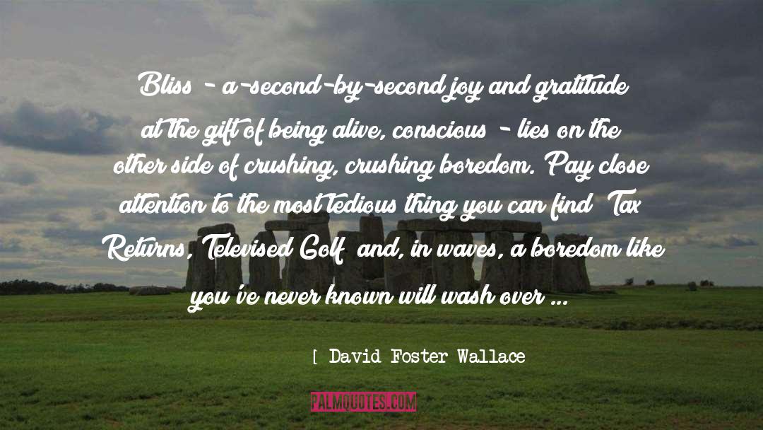 Gratitude And Joy quotes by David Foster Wallace