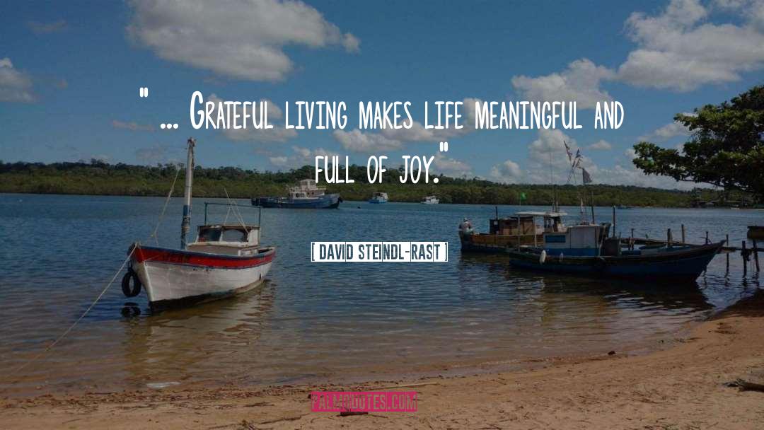 Gratitude And Joy quotes by David Steindl-Rast