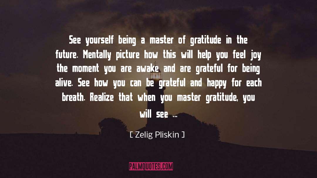 Gratitude And Joy quotes by Zelig Pliskin