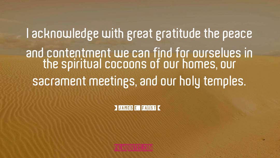 Gratitude Delight quotes by James E. Faust