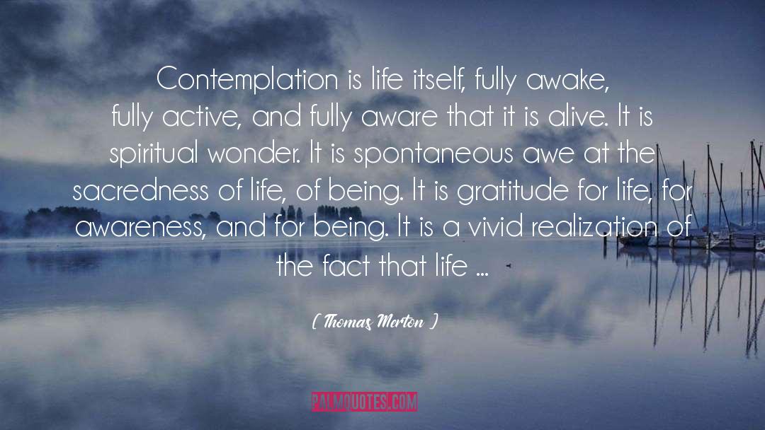 Gratitude For Life quotes by Thomas Merton