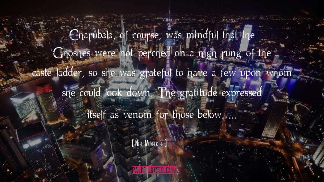 Gratitude quotes by Neel Mukherjee