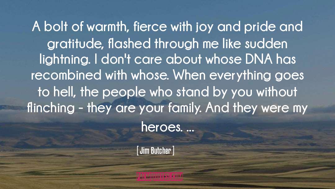 Gratitude quotes by Jim Butcher