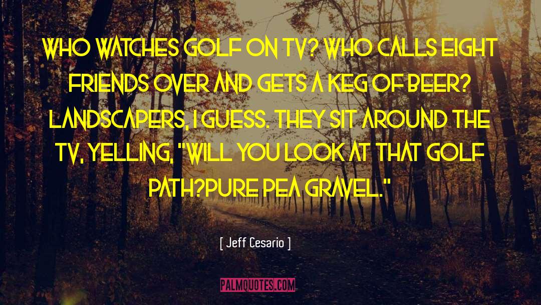 Gravel quotes by Jeff Cesario