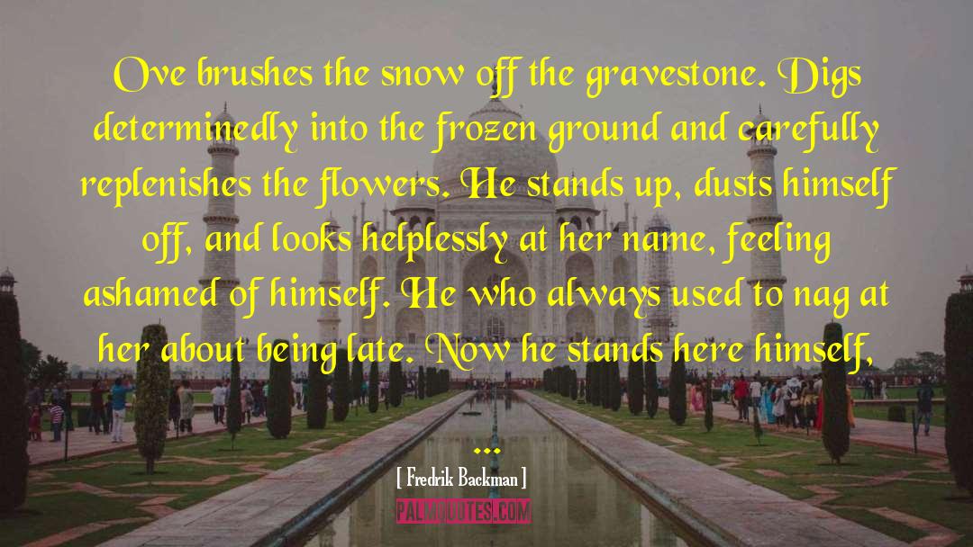 Gravestone quotes by Fredrik Backman