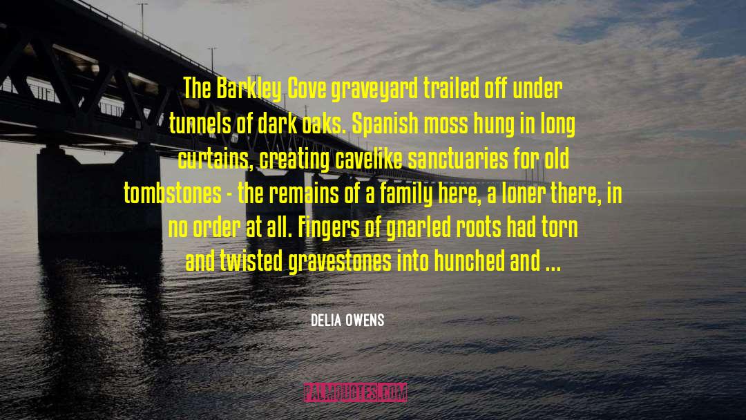 Gravestones quotes by Delia Owens