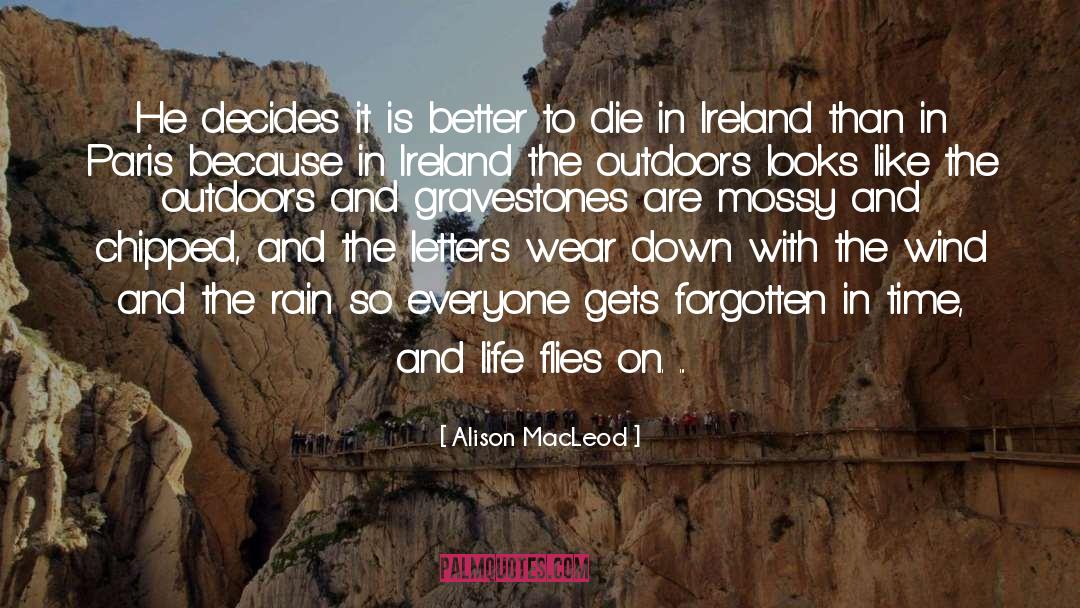 Gravestones quotes by Alison MacLeod