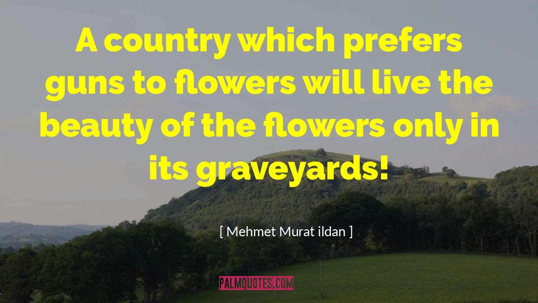 Graveyards quotes by Mehmet Murat Ildan