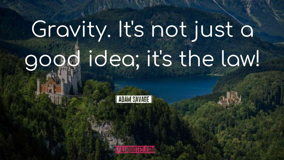 Gravity quotes by Adam Savage