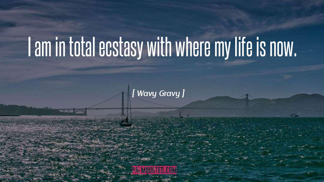 Gravy quotes by Wavy Gravy