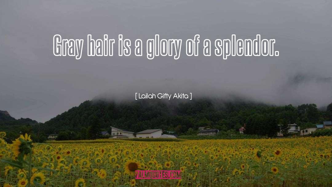 Gray Hair quotes by Lailah Gifty Akita