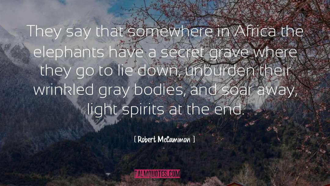 Gray Light quotes by Robert McCammon