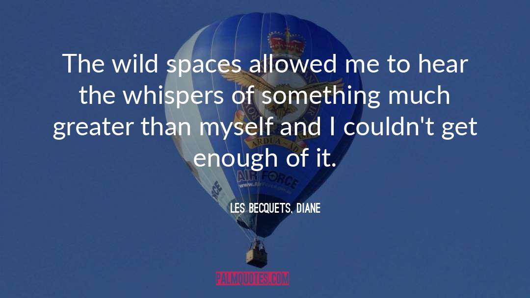 Gray Spaces quotes by Les Becquets, Diane