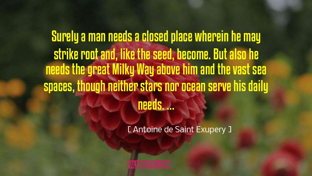 Gray Spaces quotes by Antoine De Saint Exupery