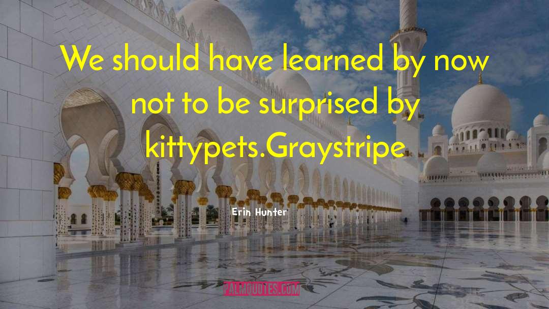 Graystripe quotes by Erin Hunter
