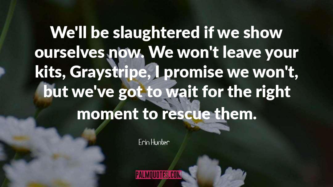 Graystripe quotes by Erin Hunter