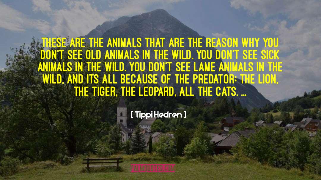 Grazers Animals quotes by Tippi Hedren