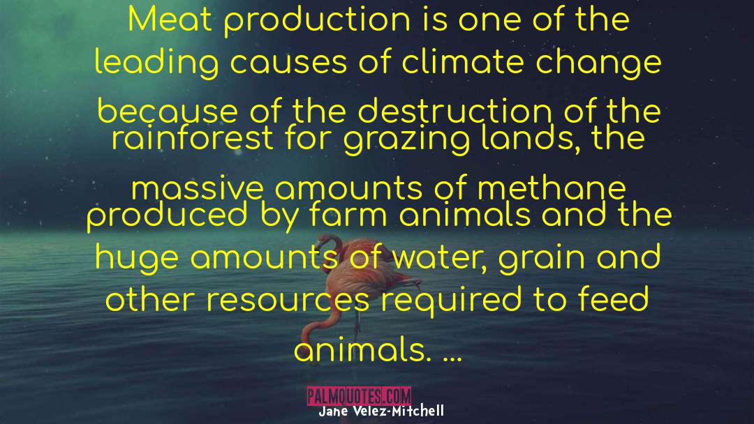 Grazing quotes by Jane Velez-Mitchell