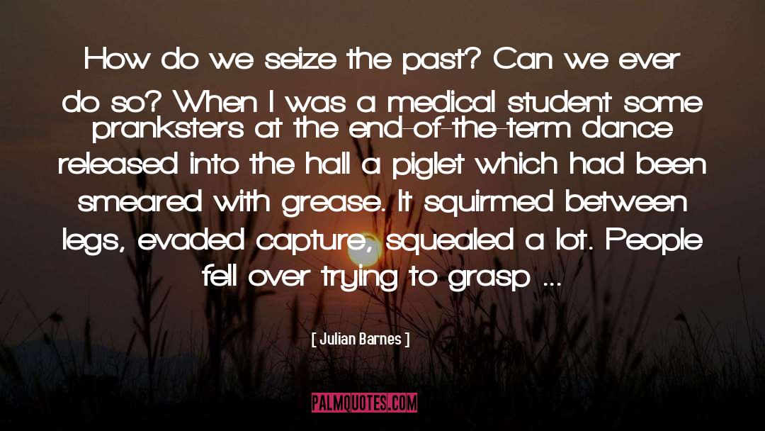 Grease quotes by Julian Barnes