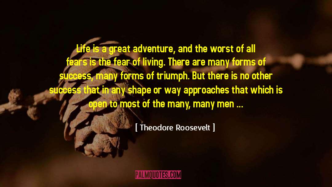 Great Adventure quotes by Theodore Roosevelt