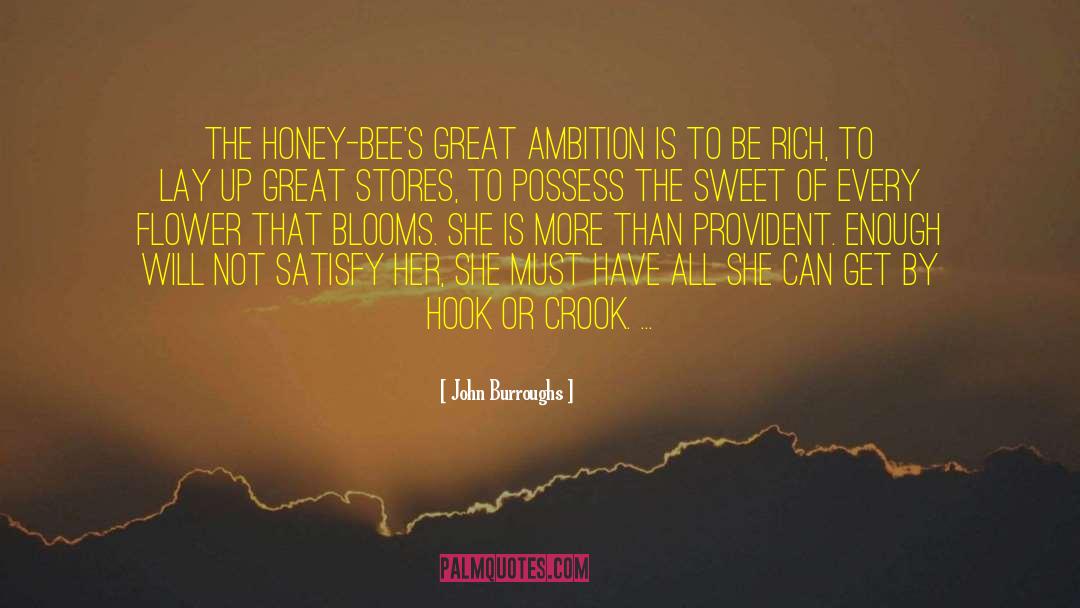 Great Ambition quotes by John Burroughs
