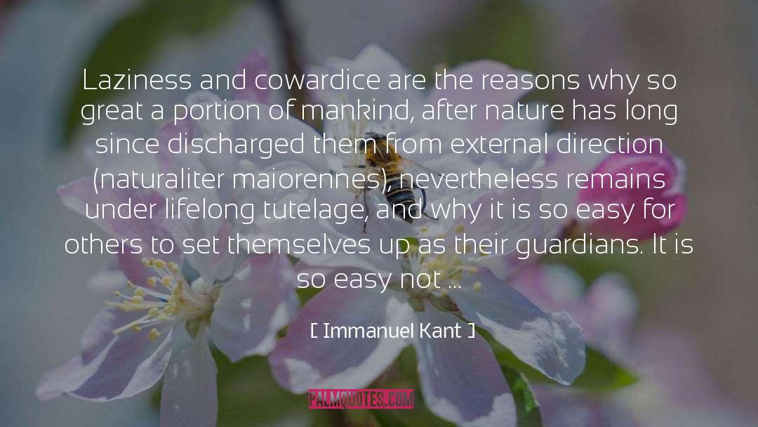 Great Aviation quotes by Immanuel Kant