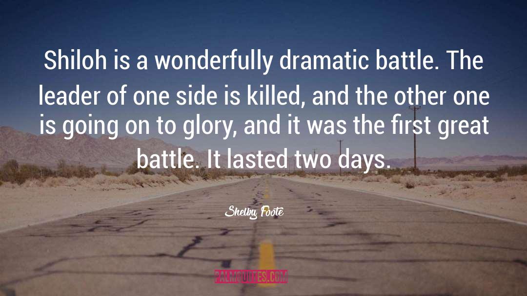 Great Battle quotes by Shelby Foote