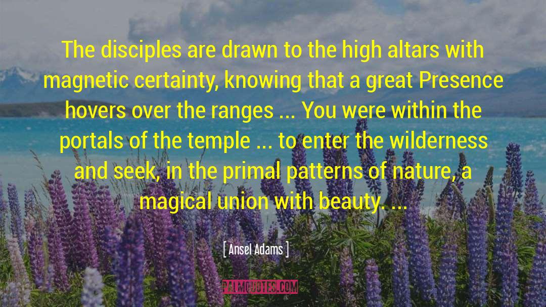 Great Beer quotes by Ansel Adams