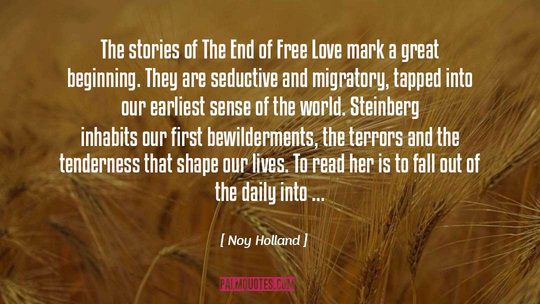 Great Beginnings quotes by Noy Holland