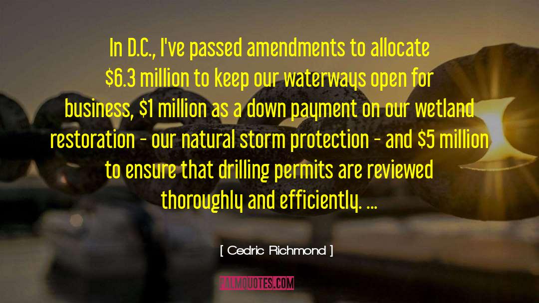 Great Business quotes by Cedric Richmond