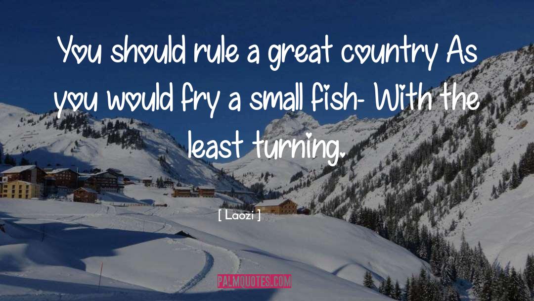 Great Country quotes by Laozi