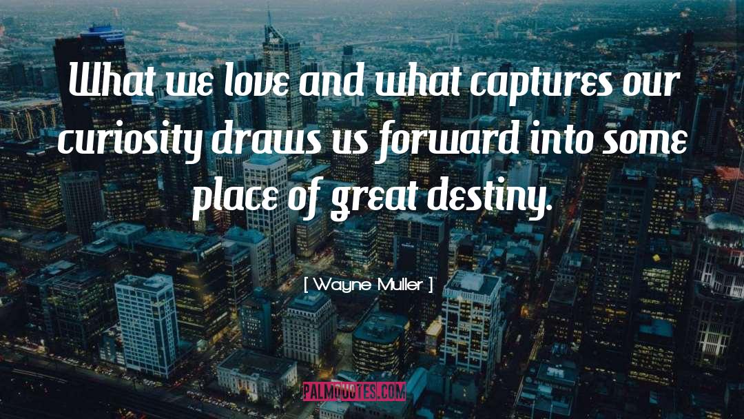 Great Destiny quotes by Wayne Muller