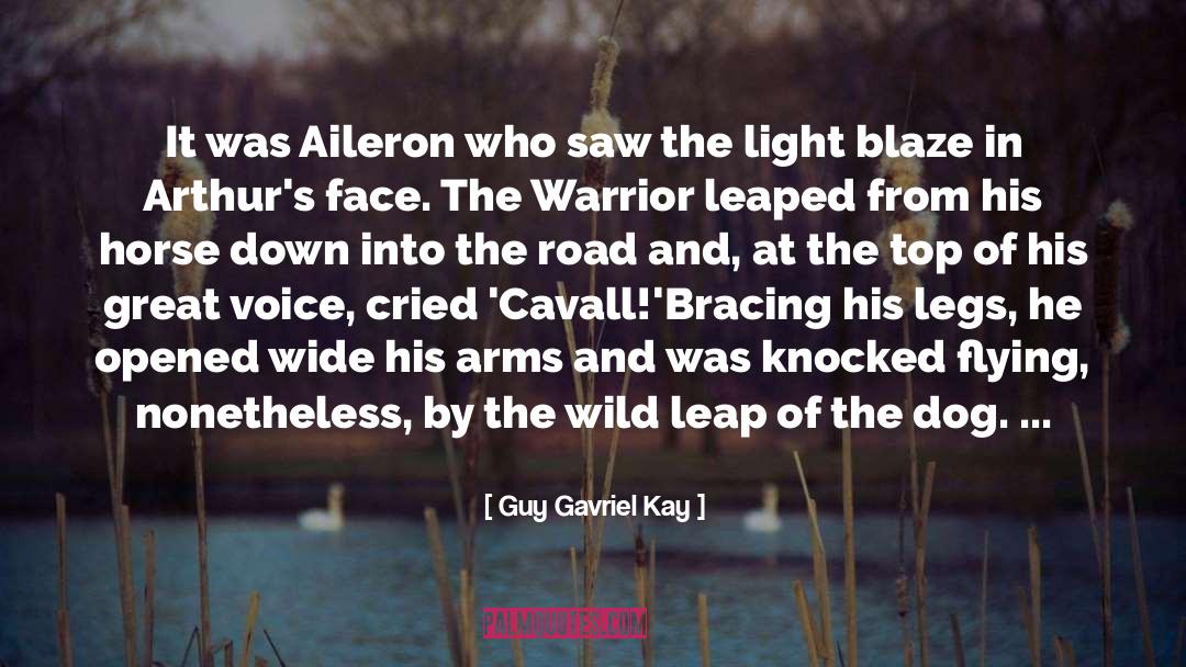 Great Determination quotes by Guy Gavriel Kay