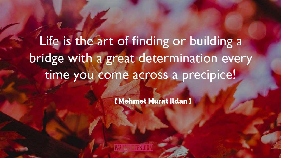 Great Determination quotes by Mehmet Murat Ildan