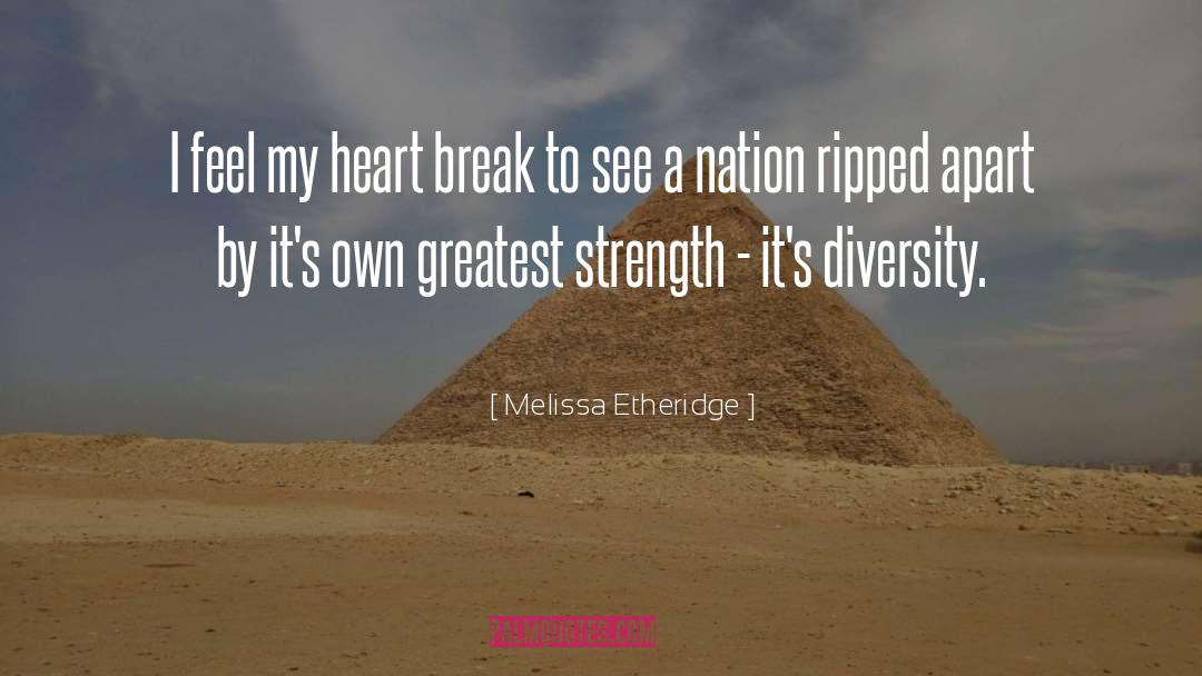 Great Diversity quotes by Melissa Etheridge