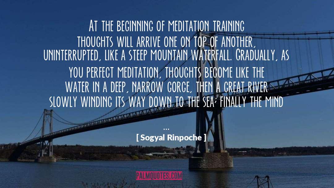 Great Drinking quotes by Sogyal Rinpoche