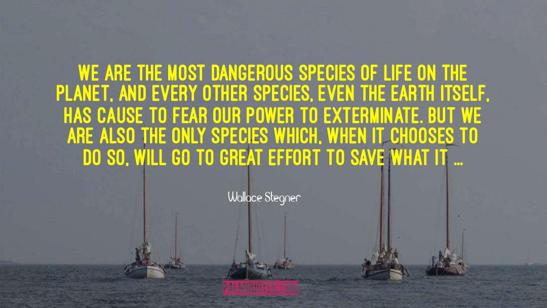 Great Effort quotes by Wallace Stegner