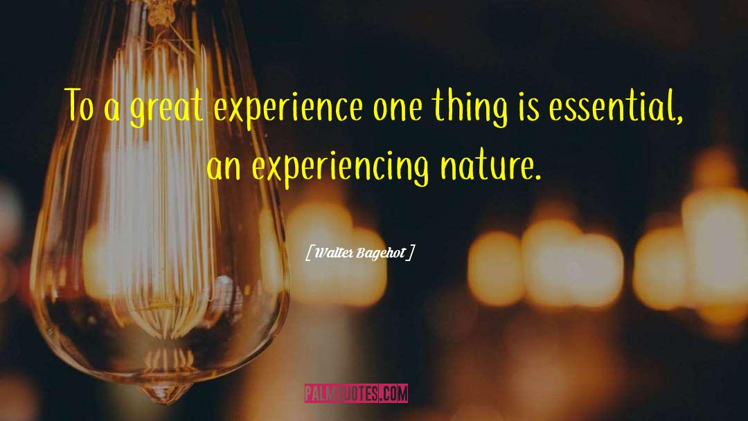 Great Experiences quotes by Walter Bagehot