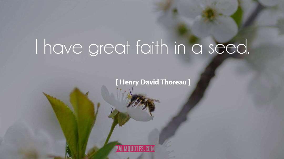 Great Faith quotes by Henry David Thoreau