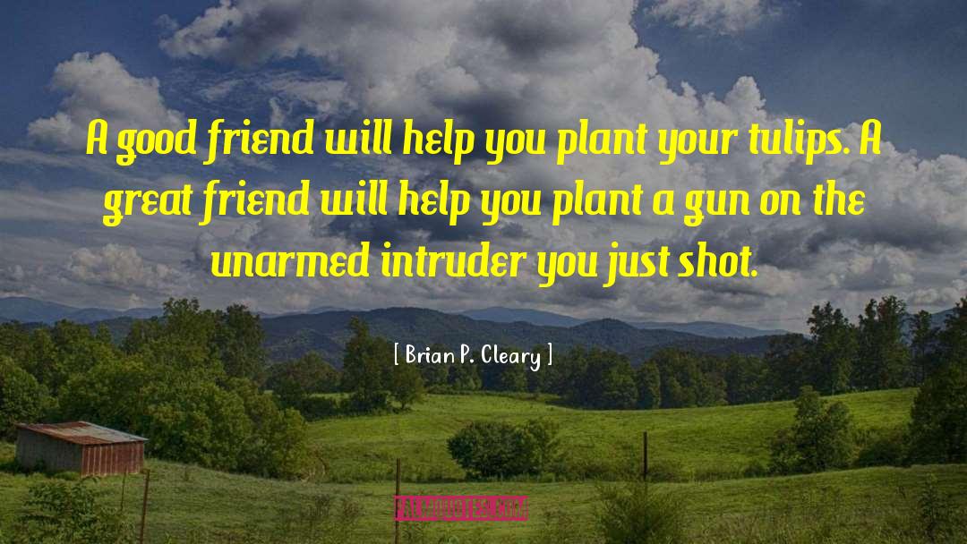 Great Friend quotes by Brian P. Cleary